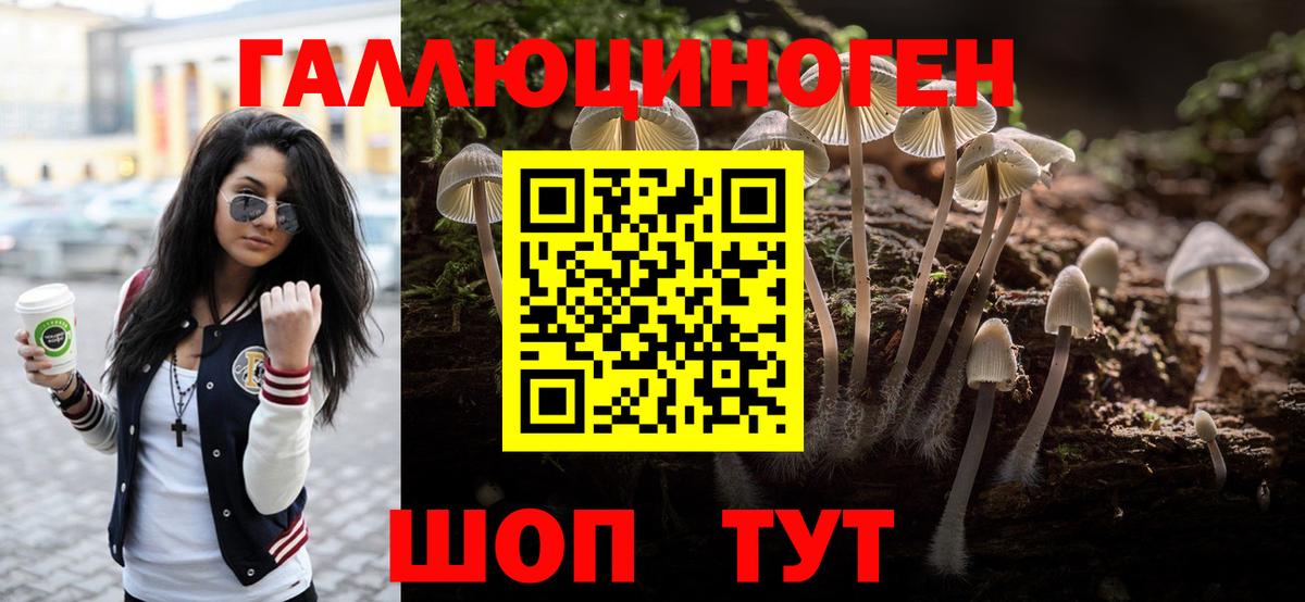 Галлюциногенные грибы Cubensis  купить  цена  Тимашёвск  Вход с VPN 