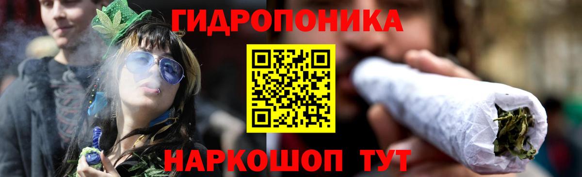 Бошки марихуана Bruce Banner  Бошки марихуана Ganja  Конопля OG Kush  Вход с VPN  Тимашёвск  Бошки марихуана конопля 